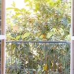 La Casa Di Rob E Cris *
